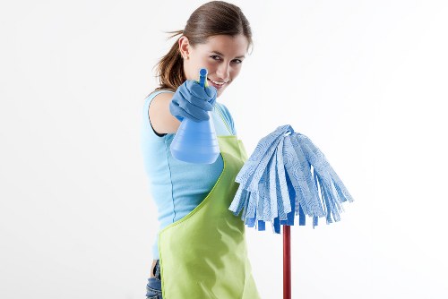 Window cleaner servicing a residential property in N7