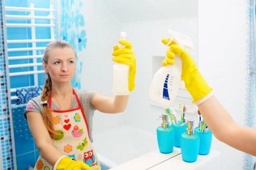 Domestic cleaning service for homes in N7 with local residential property care