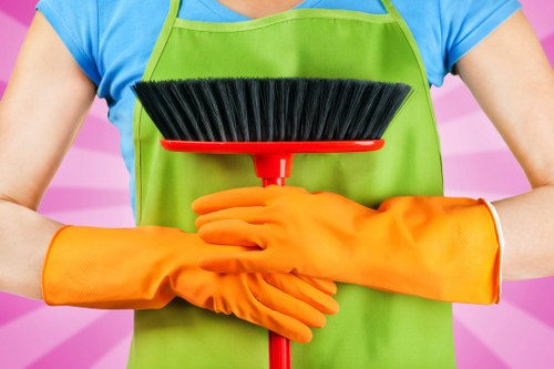 Weekly and fortnightly regular cleaning support in N7