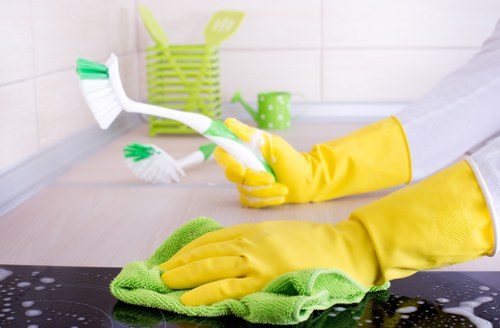 Supplier due diligence and audit process for carpet cleaning services