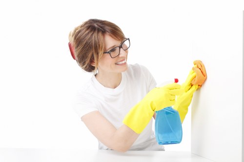 A cleaned carpet in a living room after professional treatment