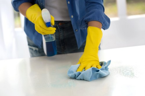 Professional deep cleaning in an N7 property focusing on bathroom and surface sanitation