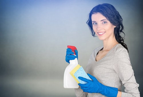 Detailed kitchen cleaning before move-in in an N7 home