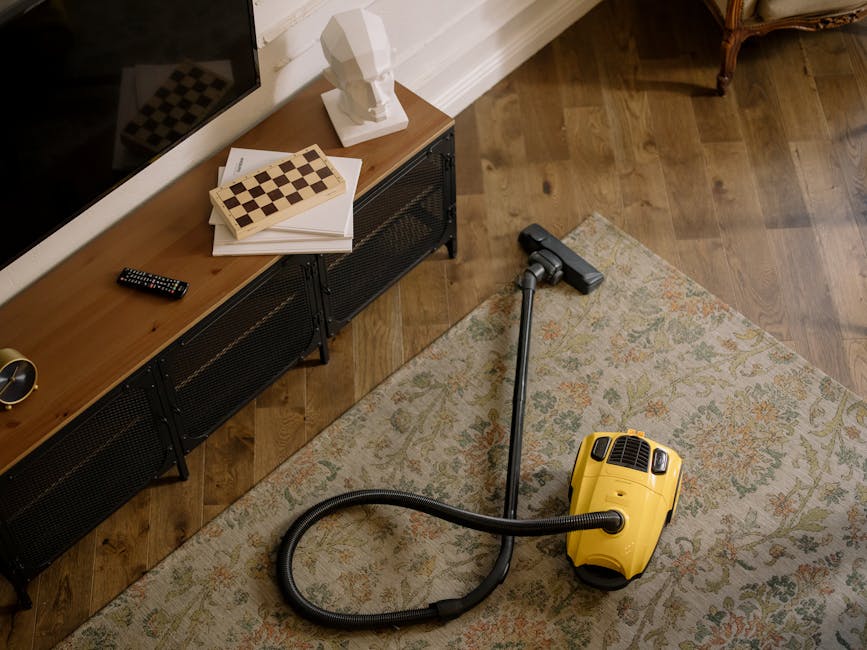 Best carpet cleaning near Tufnell Park station N19